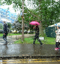 Raining days 和 好看的伞
