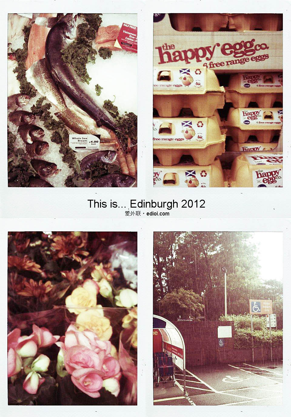 edinburgh_2012.jpg