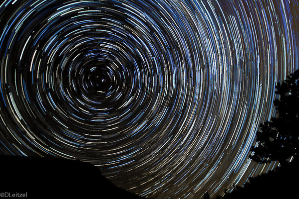 Polaris Star Trails (wm)-1.jpg