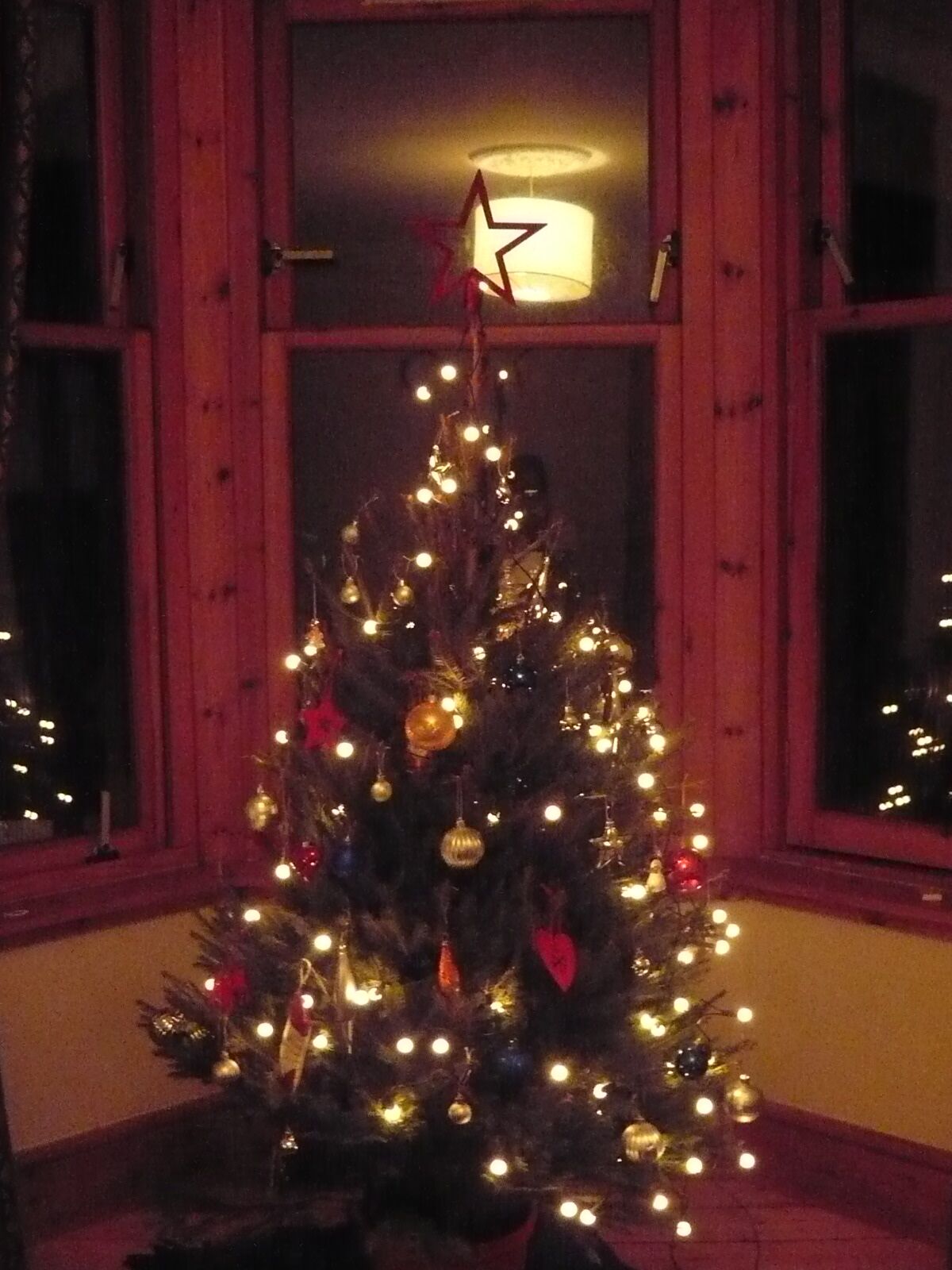 oh Christmas tree Oh Christmas tree..JPG